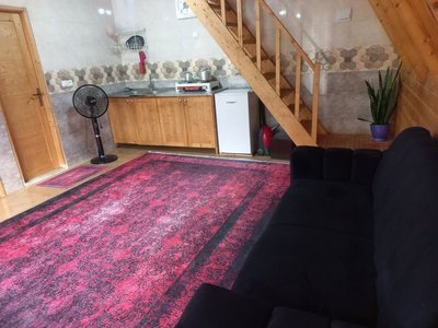 کلبه یک خوابه سوئیسی جکوزی دار ویشار 1