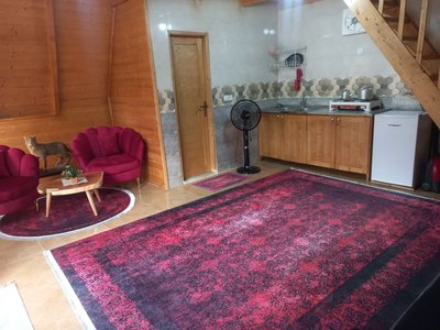 کلبه یک خوابه سوئیسی جکوزی دار ویشار 1