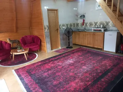 کلبه یک خوابه سوئیسی جکوزی دار ویشار 1