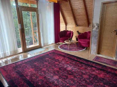 کلبه یک خوابه سوئیسی جکوزی دار ویشار 1