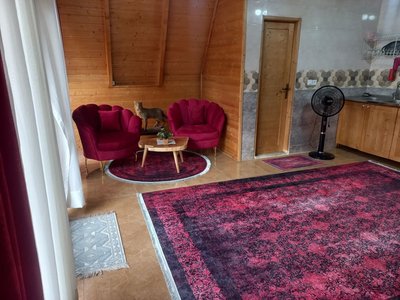 کلبه یک خوابه سوئیسی جکوزی دار ویشار 1