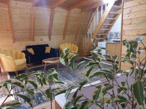 کلبه یک خوابه جکوزی دار ویشار