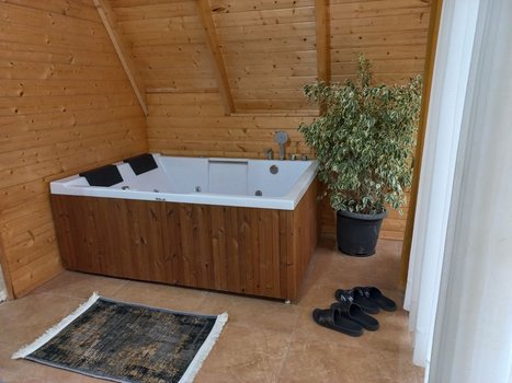 کلبه یک خوابه جکوزی دار ویشار