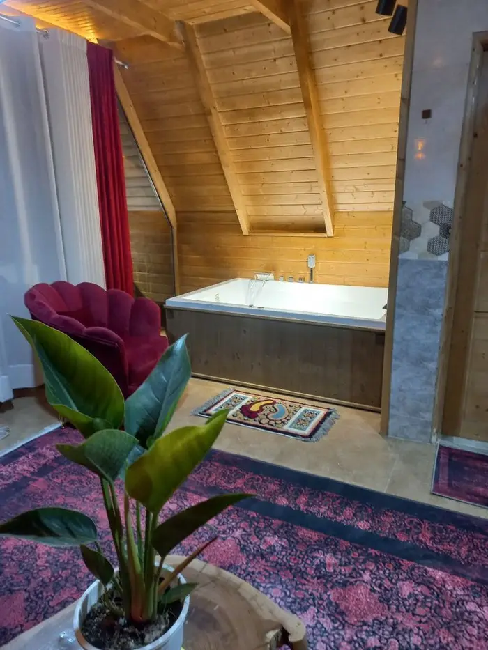 کلبه یک خوابه سوئیسی جکوزی دار ویشار 1