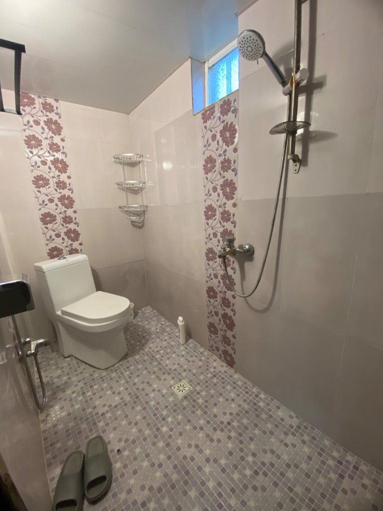 سوئیت یک خوابه ارغوان  4