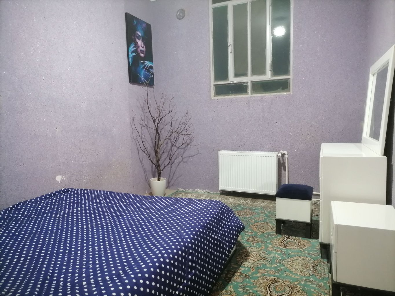 یک خوابه بالا نشین