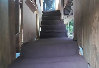 ویلا دوخوابه جنگلی داریوش 1