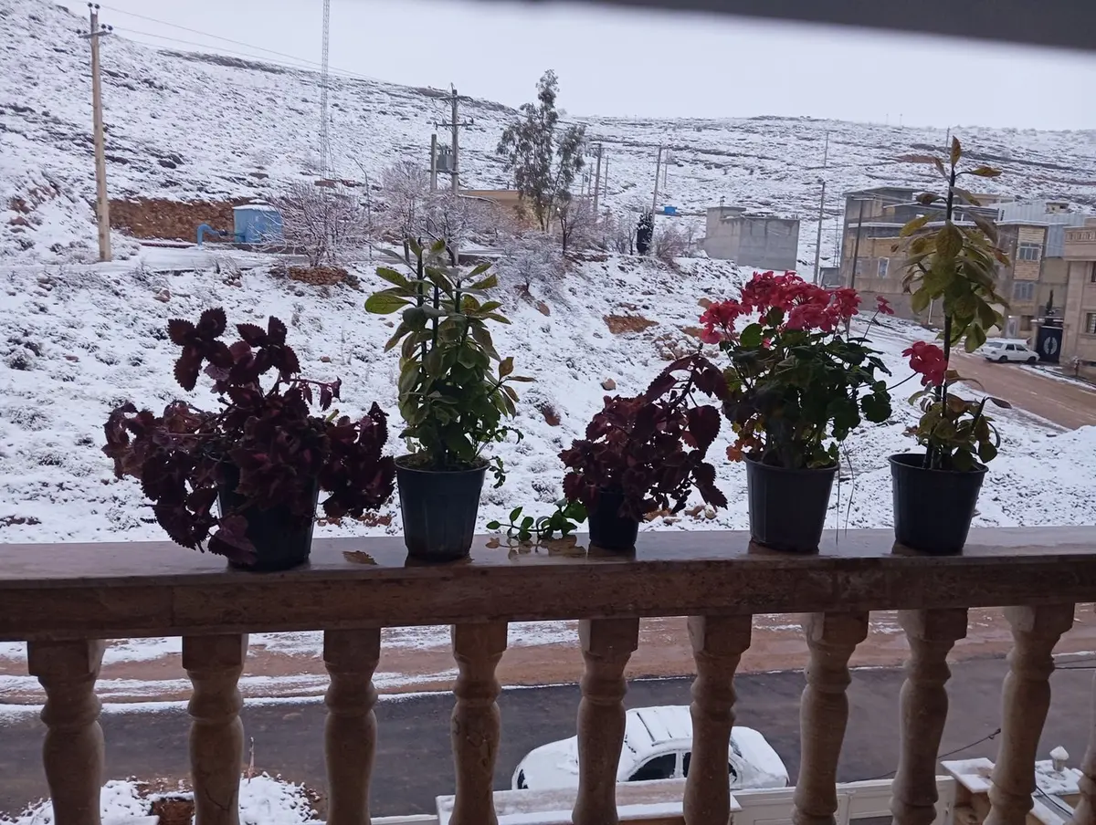 آپارتمان دوخوابه گلبرگ ۳