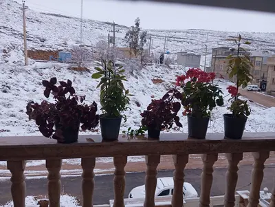 آپارتمان دوخوابه گلبرگ ۳