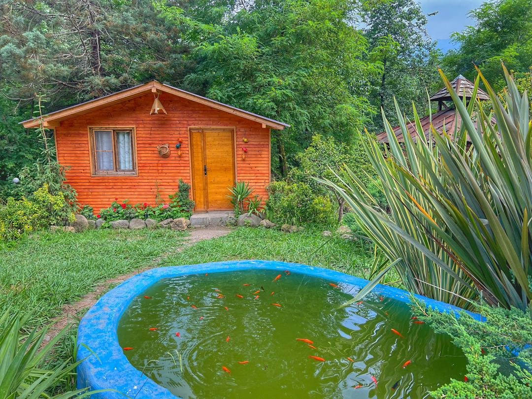 كوكه - واحد وگ