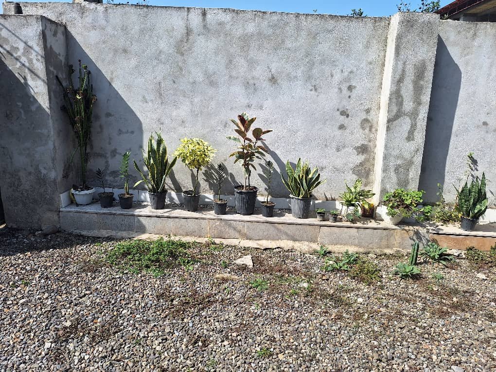 یک خوابه امید 6