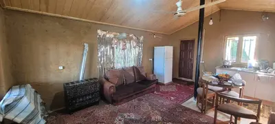 کلبه فلت جنگلی دنیا 2