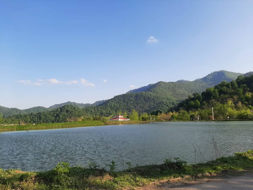 دوخوابه جنگلی دلاور