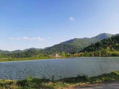 ویلا دوخوابه جنگلی دلاور