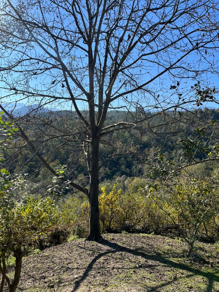بوم گردی اقامتگاه الدار ۱ - الدار کلبه جکوزی زندگی