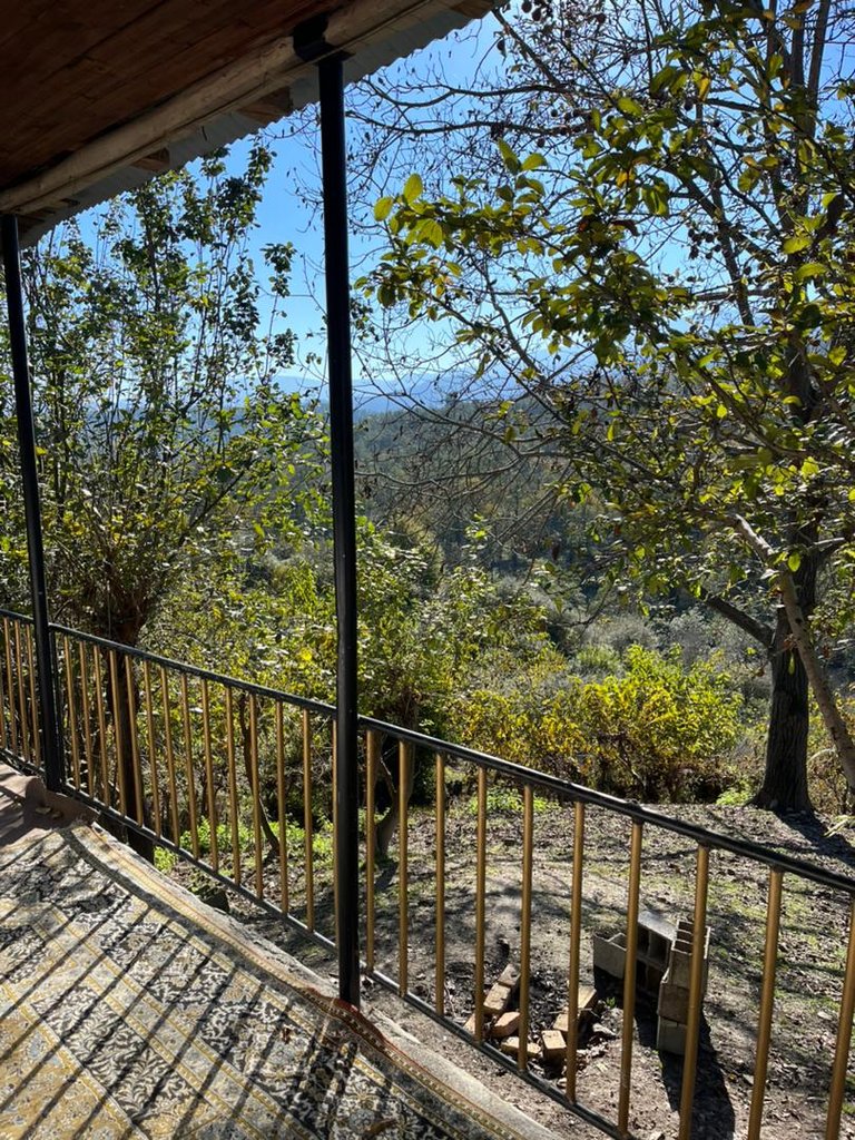 بومگردی اقامتگاه الدار ۱ - الدار کلبه جکوزی زندگی