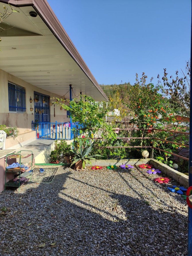 یک خوابه جنگلی افرا