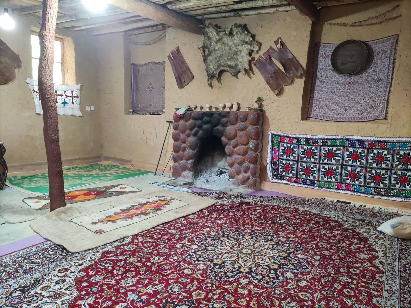 دل‌آرام عباسیان - واحد 5