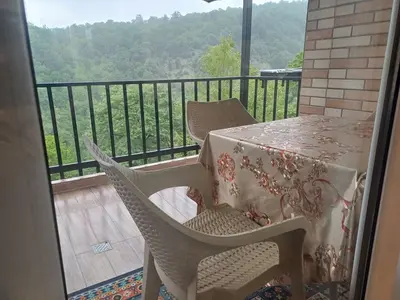 ویلا دوخوابه جنگلی قربانی 2