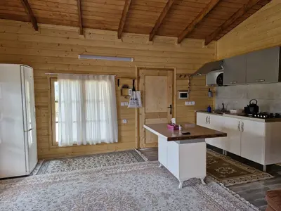 کلبه یک خوابه چوبی افرا 2