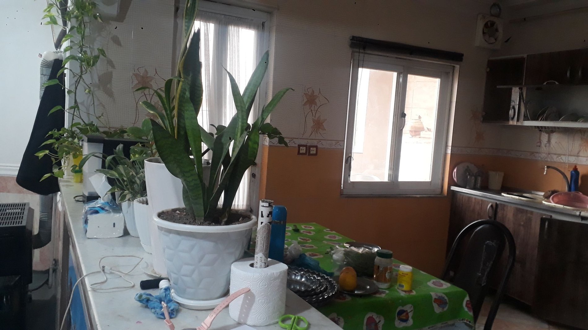 آپارتمان یک خوابه مطهری 8