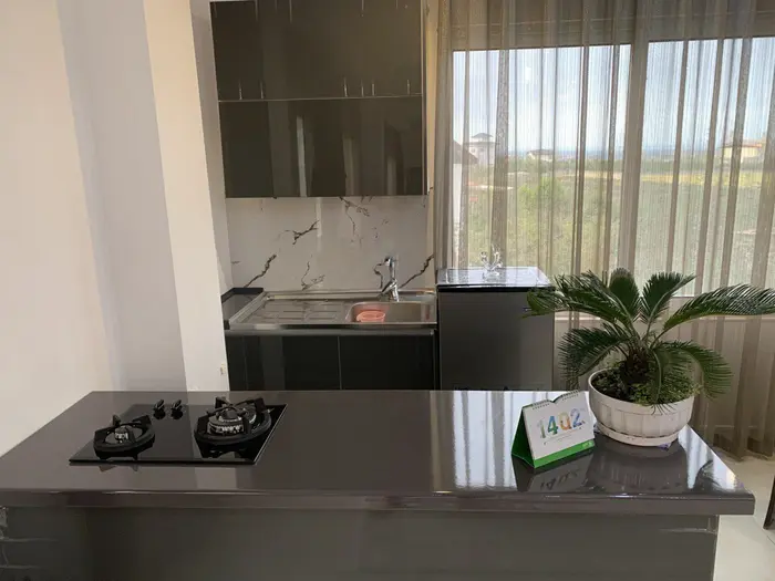 آپارتمان یک خوابه جنگلی تلما - آشپزخانه