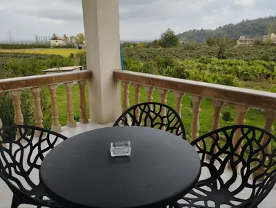 آپارتمان یک خوابه جنگلی تلما