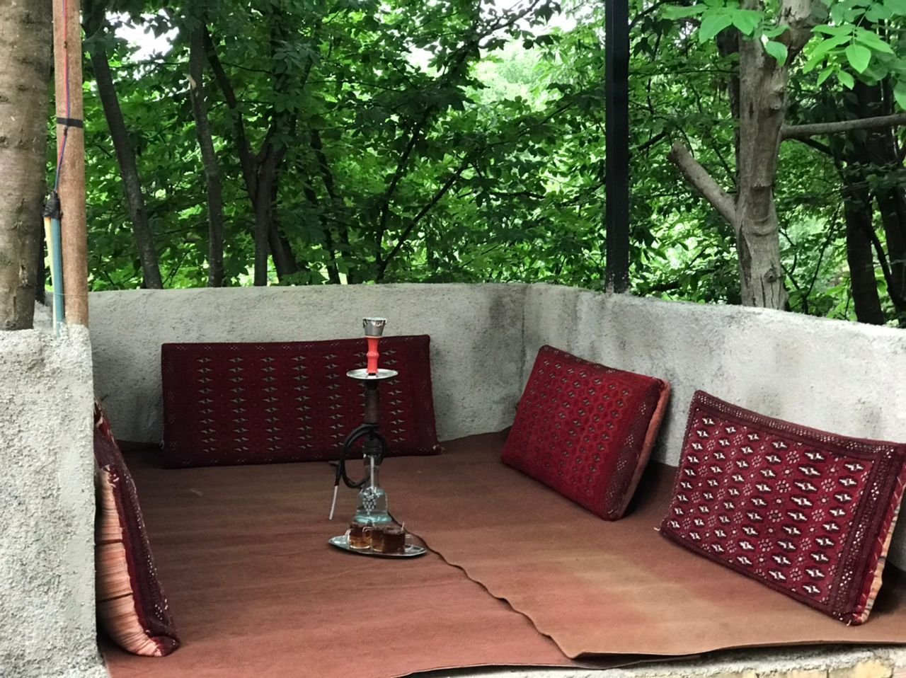 دخوابه جنگلی سرخ