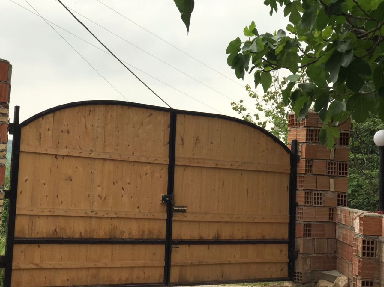 دخوابه جنگلی سرخ