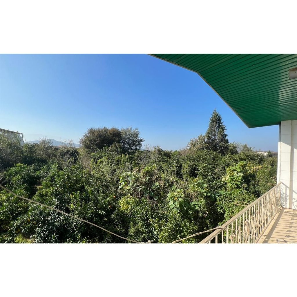 دوخوابه گرایلی 1