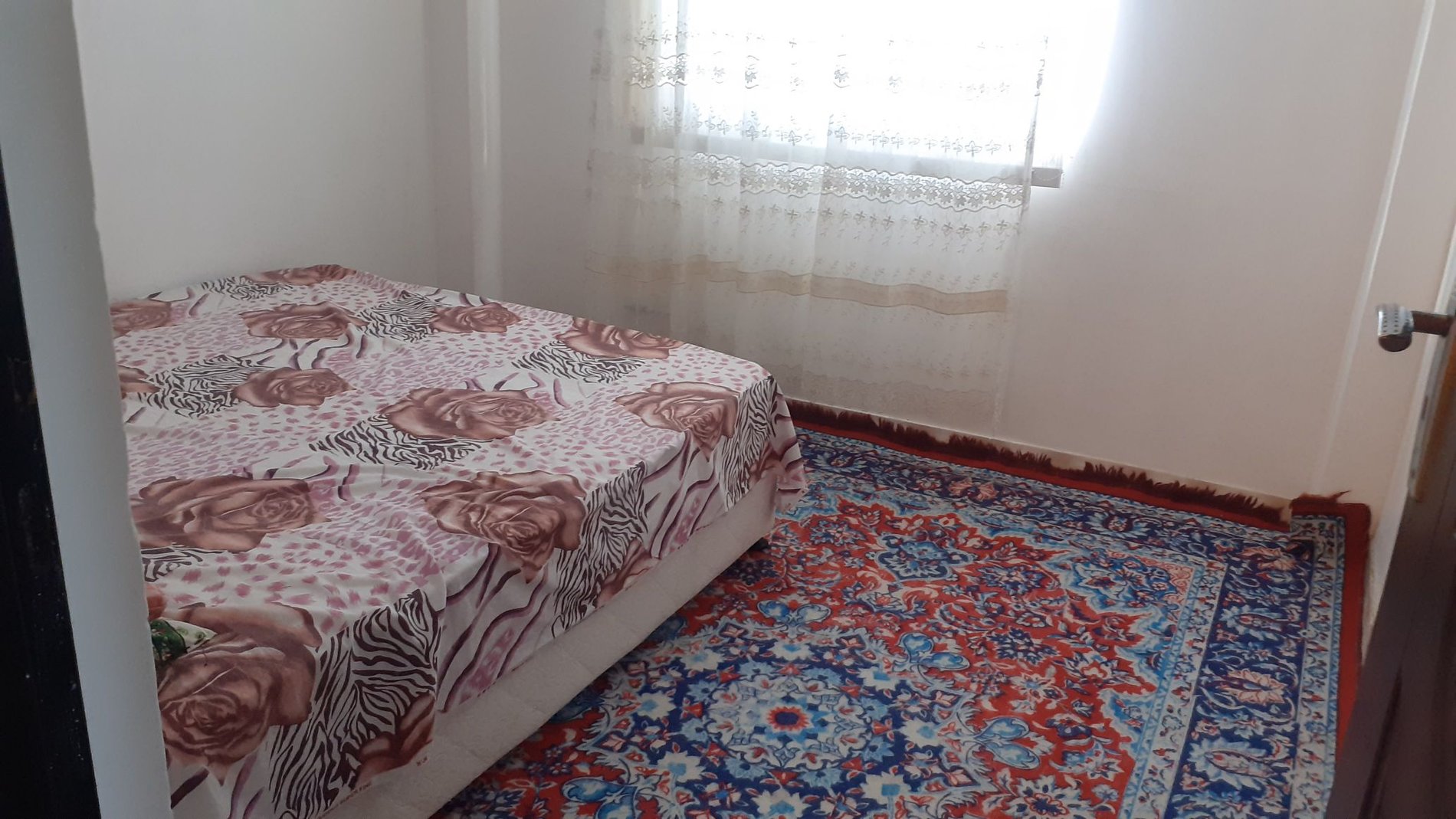 ویلا یک خوابه روستایی تنها