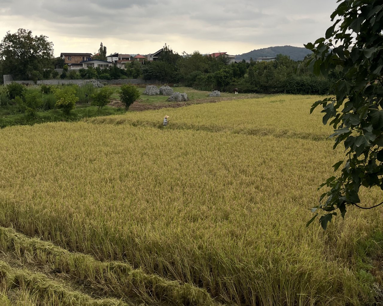 ویلا یک خوابه خانه آذر