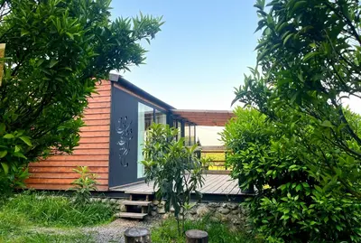 کلبه فلت جنگلی دیدار