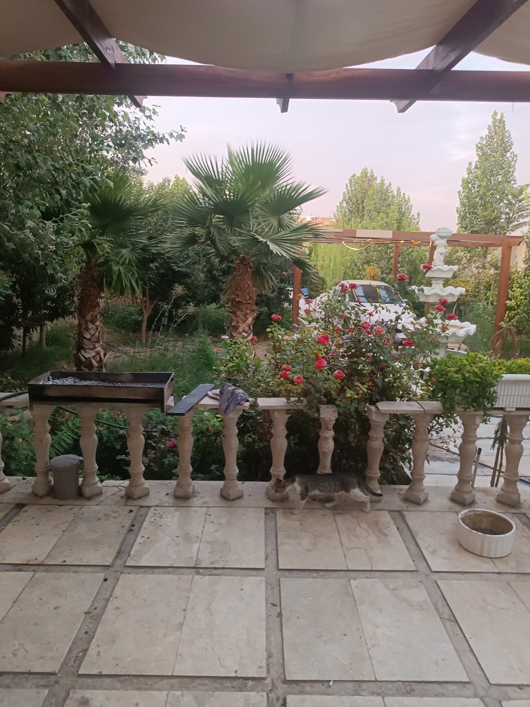 ویلا دوخوابه استخردار آبگرم ارهان باغ