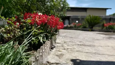 ویلا یک خوابه کلان