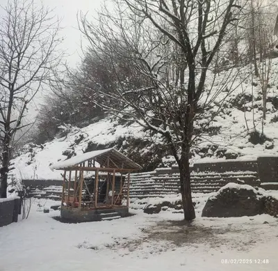 ویلا دوخوابه قصر چوبی