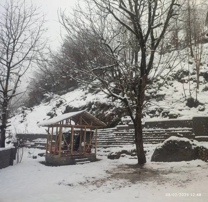 ویلا دوخوابه قصر چوبی