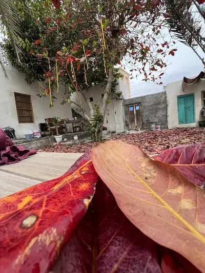 اقامتگاه سنتی خانه نوکَدیم - اتاق ۲