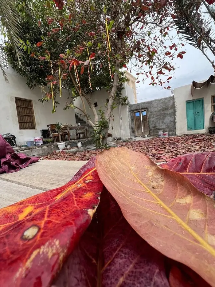 اقامتگاه سنتی خانه نوکَدیم - اتاق ۲