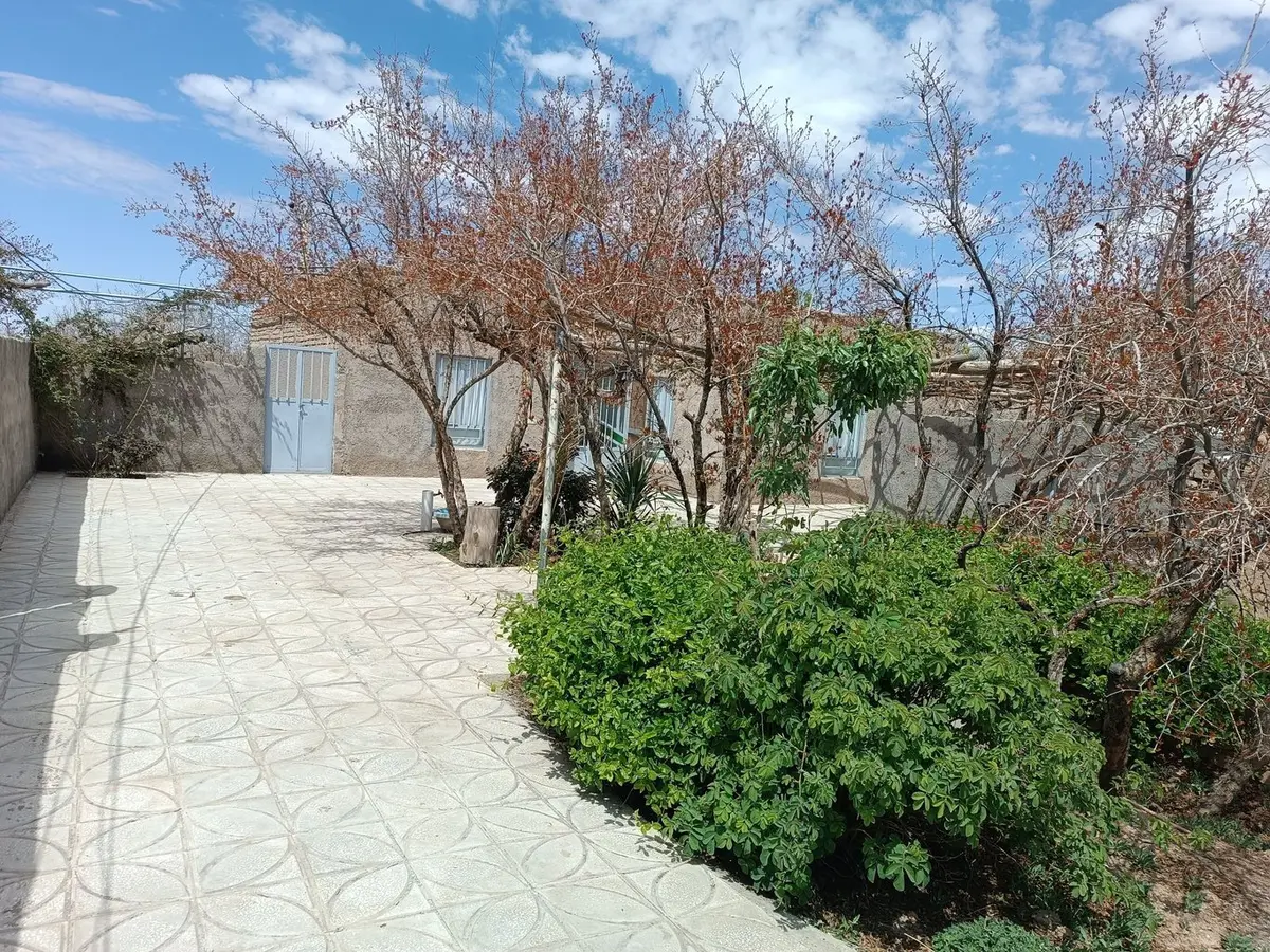 ویلا یک خوابه باغ خاتم - حیاط