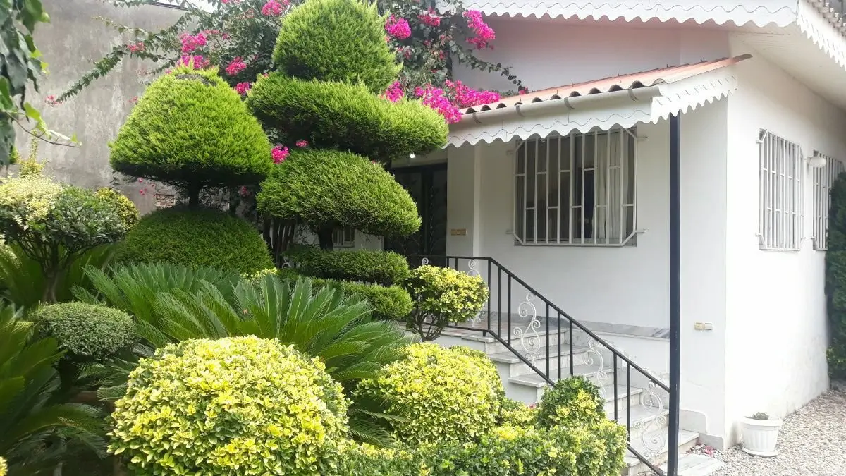 ویلا دوخوابه حیات سبز - حیاط