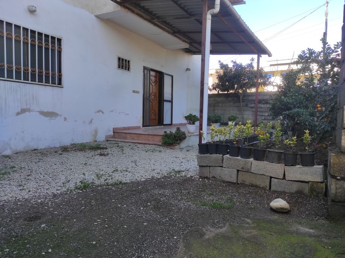 سوئیت یک خوابه باران شمالی - حیاط ویلا