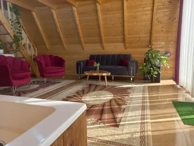 کلبه یک خوابه سوئیسی جکوزی دار دیاکو