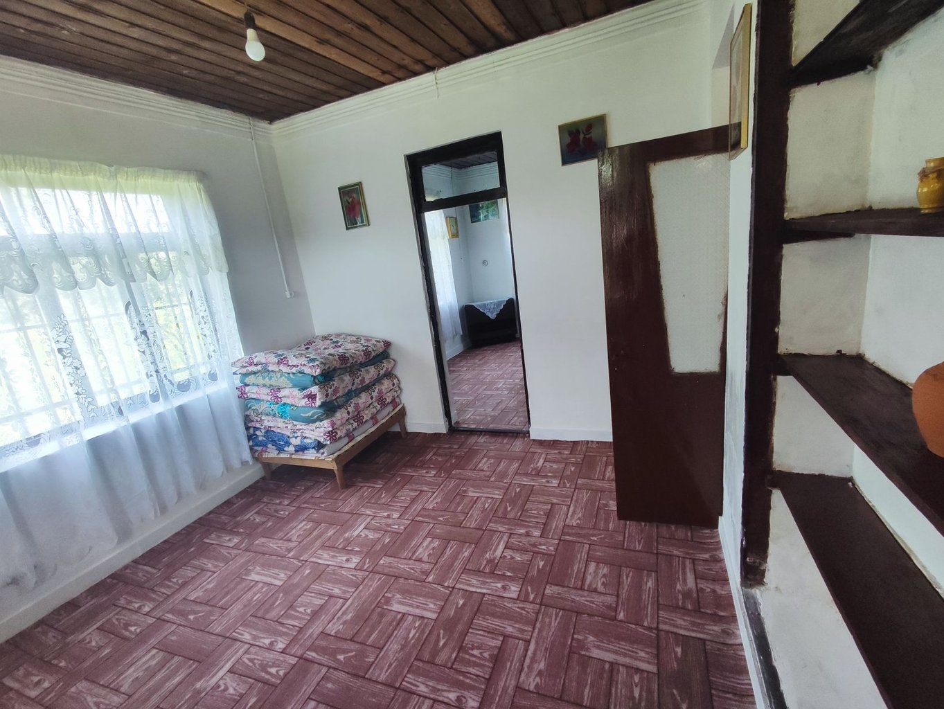 فلت جنگلی تلار