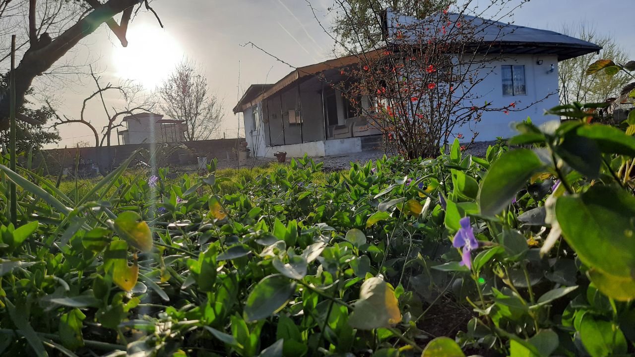 ویلا دوخوابه باغ نیلوفر شرقی