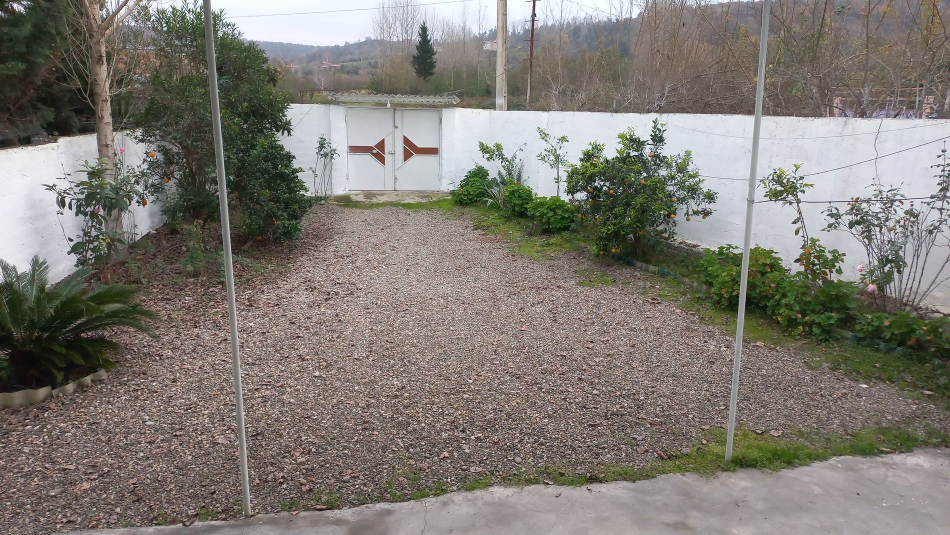 دوخوابه جنگلی امیر کلاریکلا - حیاط ویلا