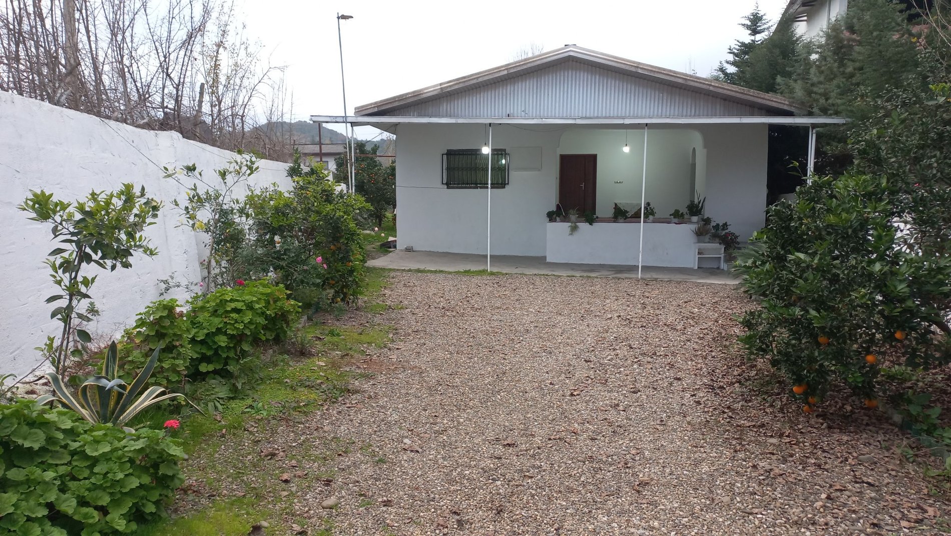 دوخوابه جنگلی امیر کلاریکلا - نمای ویلا