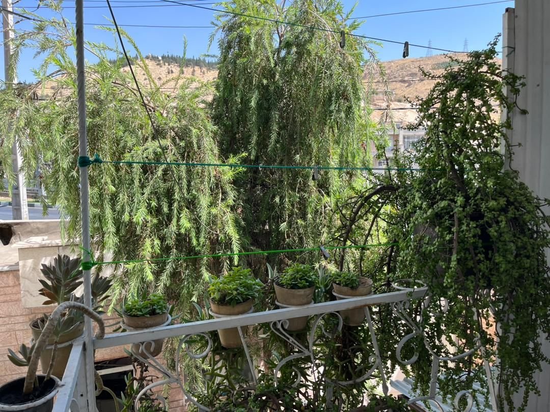 سوئیت یک خوابه دروازه قرآن 2