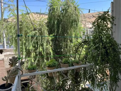 سوئیت یک خوابه دروازه قرآن 2