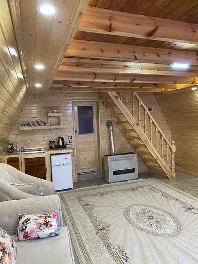 کلبه فلت سوئیسی وارش